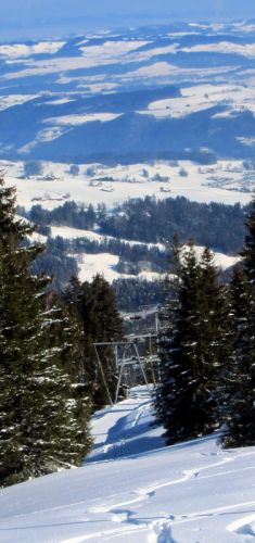 17. Februar 2012
