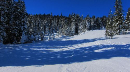 17. Februar 2012
