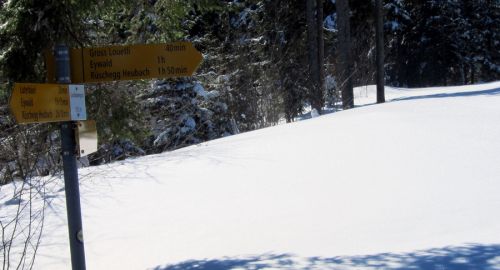 17. Februar 2012
