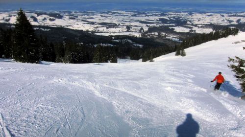 17. Februar 2012
