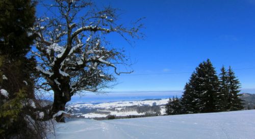 17. Februar 2012
