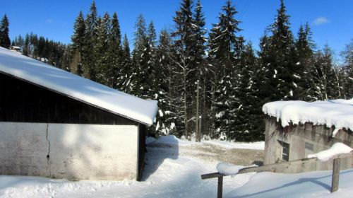 17. Februar 2012

