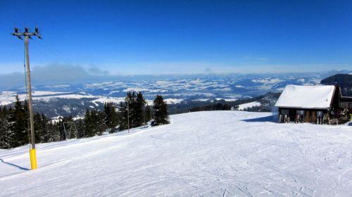 17. Februar 2012
