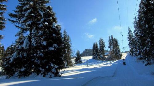17. Februar 2012
