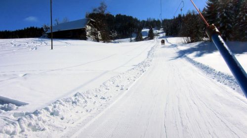 17. Februar 2012
