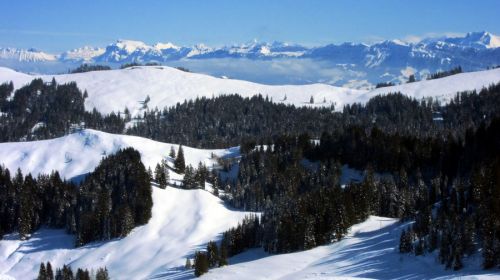 17. Februar 2012
