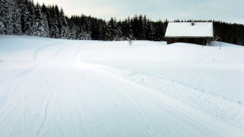 17. Februar 2012
