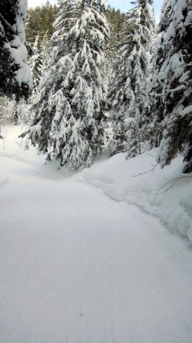 Winter Wonderland!
