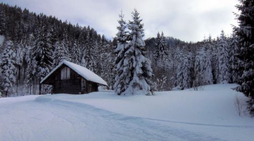 17. Februar 2012

