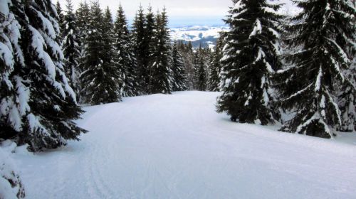 17. Februar 2012
