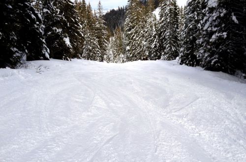 17. Februar 2012
