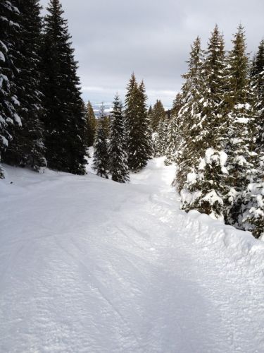 Waldschneise 2: Vom Lischboden hintenrum nach Eywald
