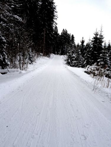 17. Februar 2012
