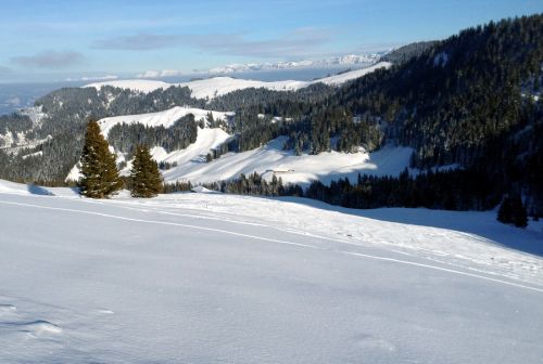 17. Februar 2012

