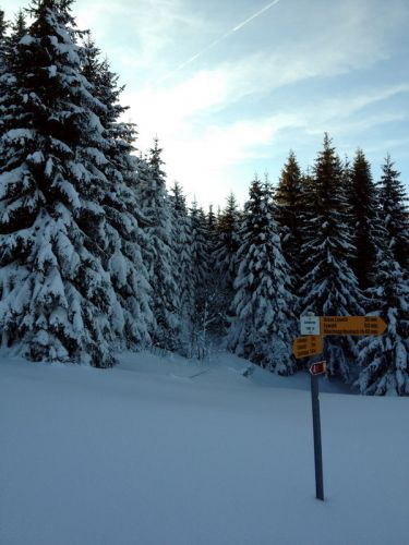 17. Februar 2012
