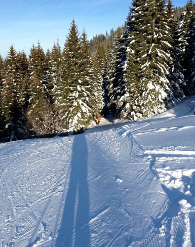 17. Februar 2012
