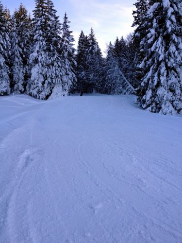 17. Februar 2012
