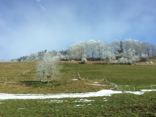 19. Februar 2015: Erneut nach Rüschegg!

