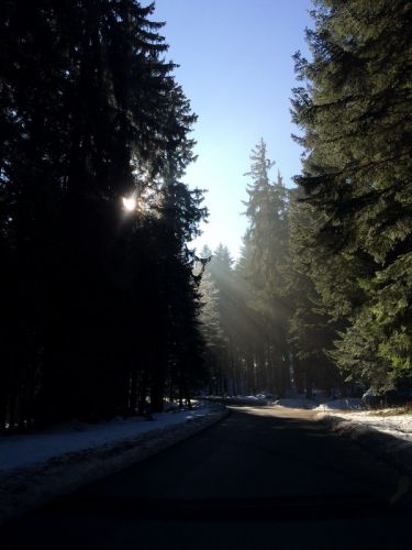 19. Februar 2015

