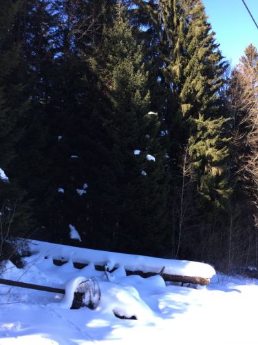 19. Februar 2015
