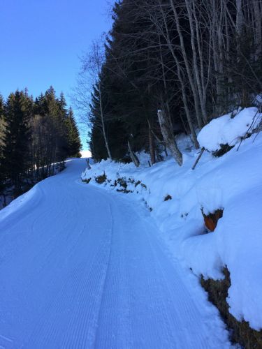 19. Februar 2015
