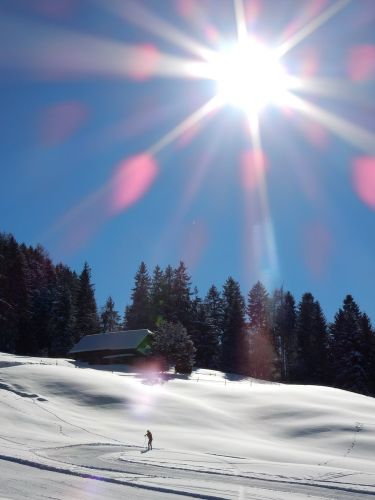 20. Januar 2017
