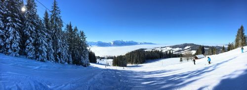 20. Januar 2017
