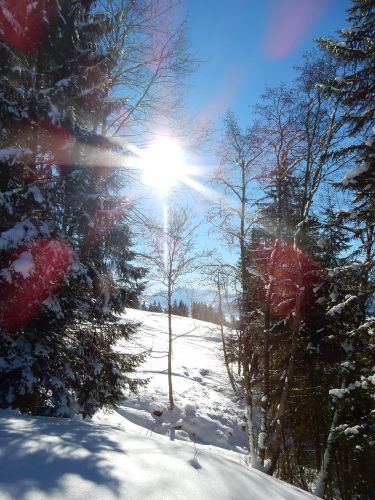 20. Januar 2017
