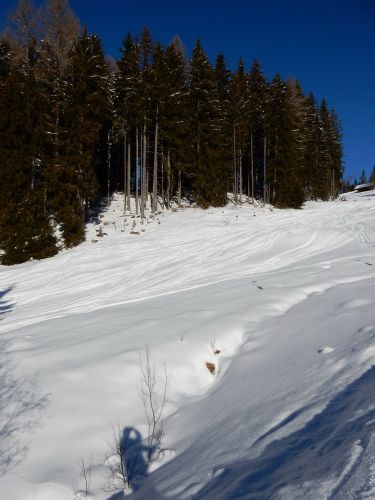 20. Januar 2017
