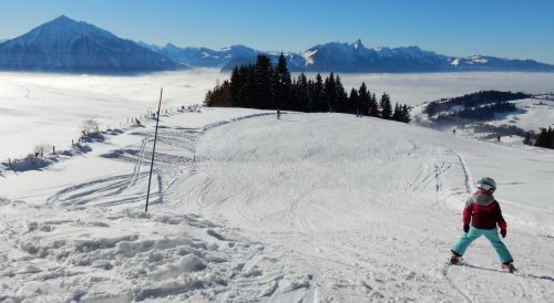 20. Januar 2017
