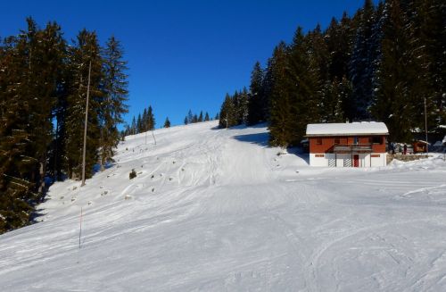 20. Januar 2017
