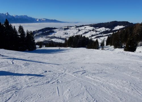 20. Januar 2017
