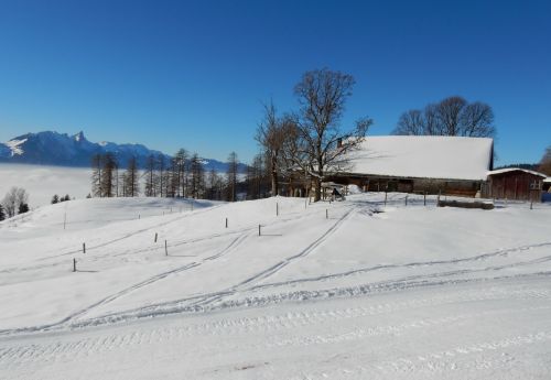 20. Januar 2017

