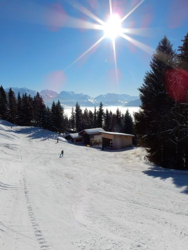 20. Januar 2017
