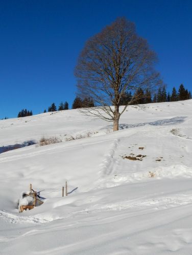 20. Januar 2017
