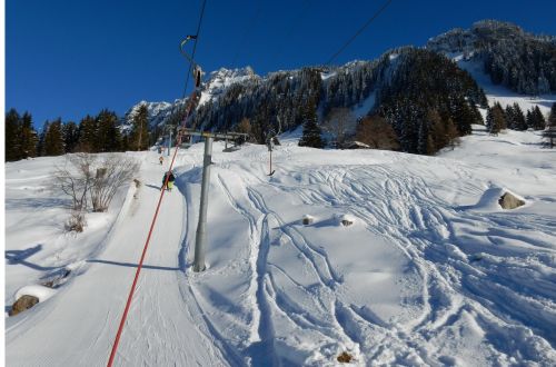 20. Januar 2017
