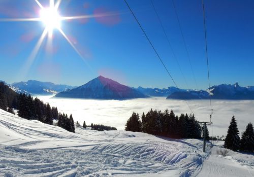 20. Januar 2017
