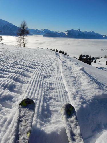 20. Januar 2017
