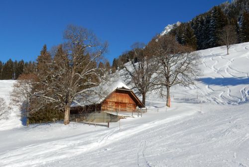 20. Januar 2017
