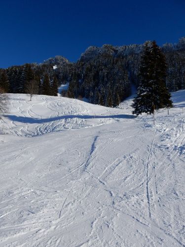 20. Januar 2017
