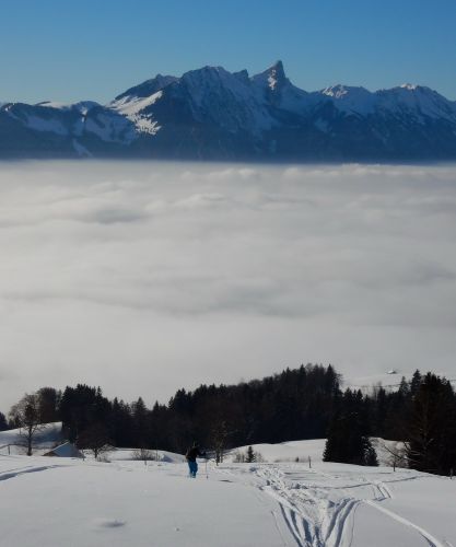 20. Januar 2017
