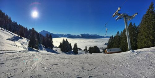 20. Januar 2017
