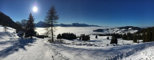 20. Januar 2017
