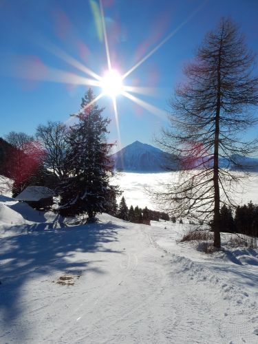 20. Januar 2017
