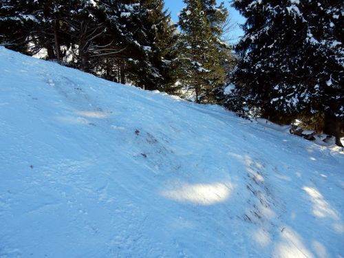 20. Januar 2017
