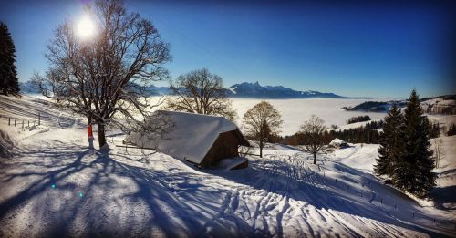 20. Januar 2017
