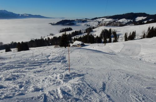 20. Januar 2017
