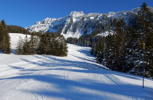 20. Januar 2017
