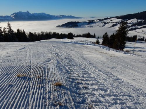 20. Januar 2017
