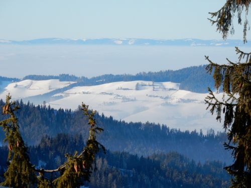 20. Januar 2017
